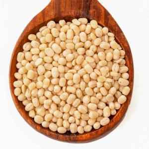 Gazab Urad Gota