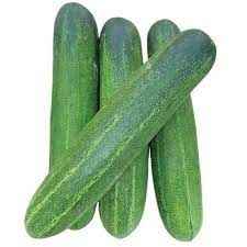 Desi Cucumber