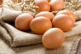 Organic Large Eggs