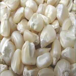 Asli Whole White Corn