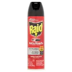 RAID ANT AND ROACH SPRAY