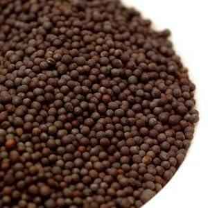 LAXMI MUSTARD SEEDS BIG JAR
