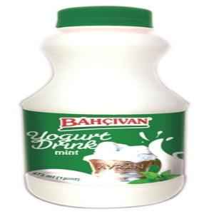 BAHCIVAN YOGURT DRINK MINT 