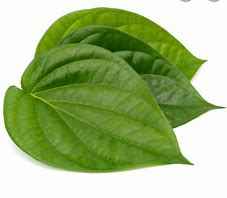 Paan Leaves