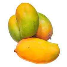 Fresh Indian Kesar Mangoes Combo Of 10 12 (Expected Delivery   27 April 2023)