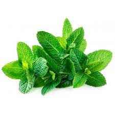 MINT BUNCH
