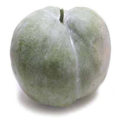 WHOLE WINTERMELON