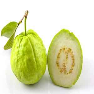 Baby Guava