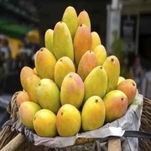 Ripe Mango