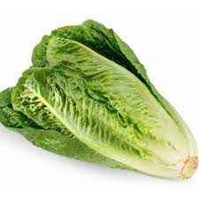 Lettuce Hearts Romaine  