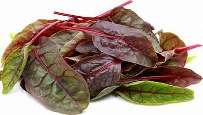 RED LEAF