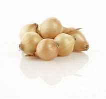 PEARL YELLOW ONION