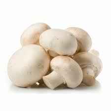 MUSHROOMS