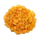 Himalayan Pakistani Raisin
