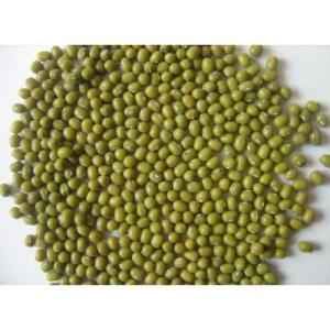 DT MOONG DAL