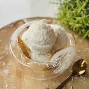 Vadilal Coconut Malai