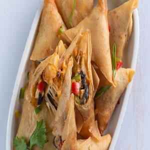 Mopleez Pizza Samosa