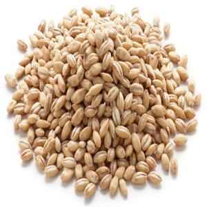 24M Org Pearled Barley