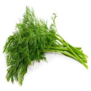 DILL LEAVES