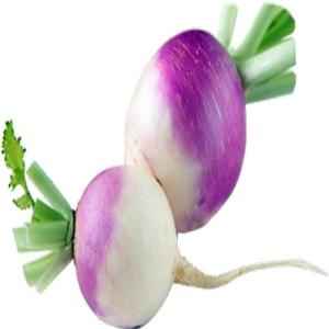 TURNIP