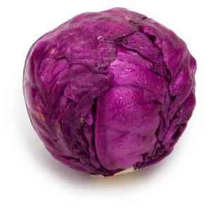RED CABBAGE