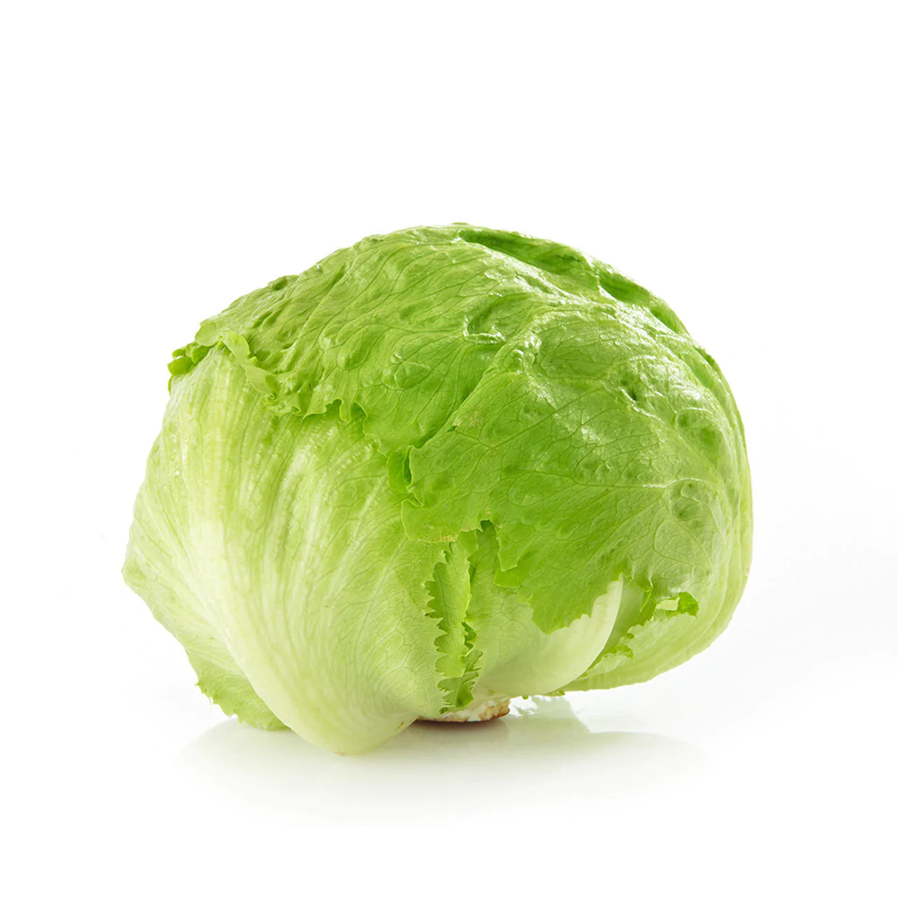 Lettuces