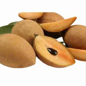 SURATI CHIKOO