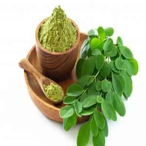 HERBI MORINGA LEAVES