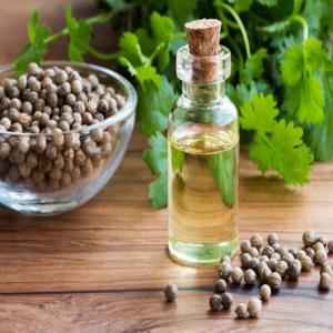 CORIANDERE OIL
