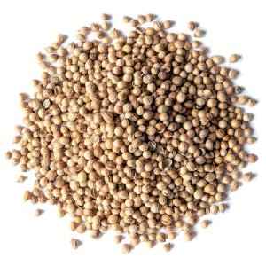 Org Coriander Powder
