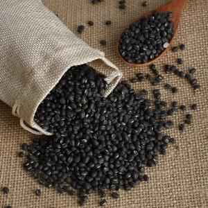 SANJEEVANI BLACKGRAM