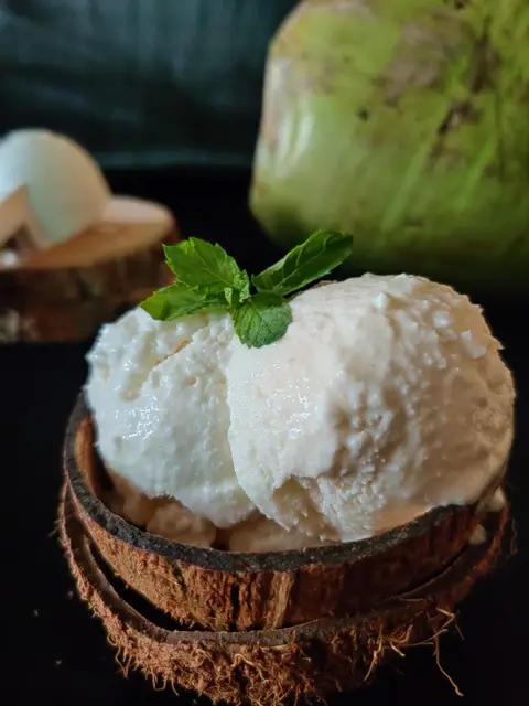 VADILAL COCONUT MALAI ICECREAM