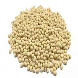 ORGANIC URAD GOTA