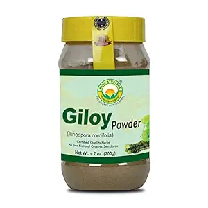 GILOY PWR
