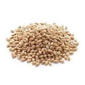 Whole Grain Proso Millet