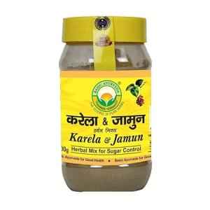 BASIC AYURVEDA KARELA