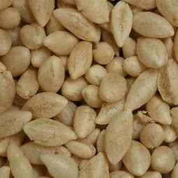TASTE OF INDIA WHEAT MAMRA