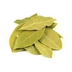Manis Bay Leaves