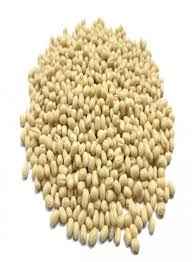 Urad Whole Gota