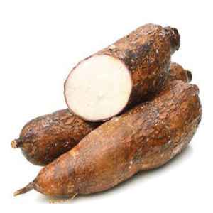 Yucca Roots