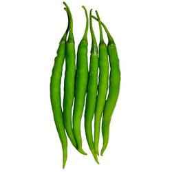 CHILLI LONG FLORIDA
