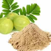 AMLA POWDER