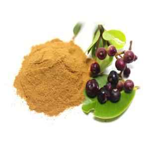 JAMUN POWDER