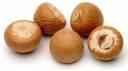 Maa Bittle Nut