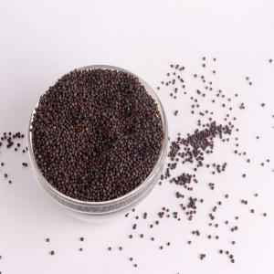 DR MUSTARD SEEDS