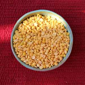 DR TOOR DAL