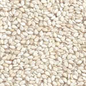 WHITE SESAMI SEEDS
