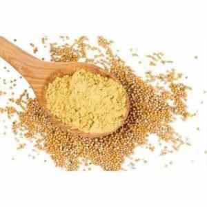 DK MUSTARD GROUND
