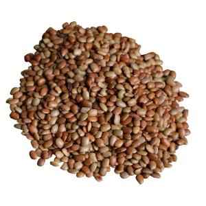 Desi Rosi Horse Gram