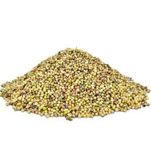 Parak Dhania Whole